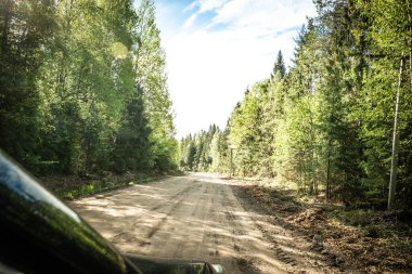 Karelian taygası arasındaki yol. Yolun kenarındaki çam ormanı. Karelia 'ya bir gezi. Ağaçların arasında otoyol. Güzel yerlere gezintiye çıkmak. Karelia. Gün.