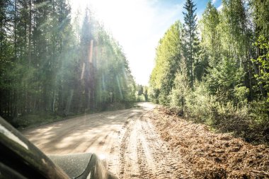 Karelian taygası arasındaki yol. Yolun kenarındaki çam ormanı. Karelia 'ya bir gezi. Ağaçların arasında otoyol. Güzel yerlere gezintiye çıkmak. Karelia. Gün.