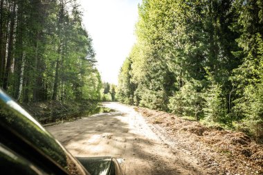 Karelian taygası arasındaki yol. Yolun kenarındaki çam ormanı. Karelia 'ya bir gezi. Ağaçların arasında otoyol. Güzel yerlere gezintiye çıkmak. Karelia. Gün.