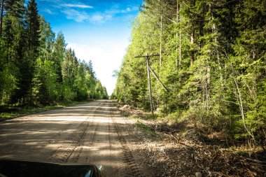 Karelian taygası arasındaki yol. Yolun kenarındaki çam ormanı. Karelia 'ya bir gezi. Ağaçların arasında otoyol. Güzel yerlere gezintiye çıkmak. Karelia. Gün.