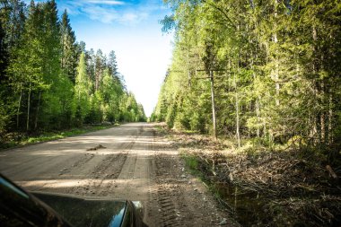 Karelian taygası arasındaki yol. Yolun kenarındaki çam ormanı. Karelia 'ya bir gezi. Ağaçların arasında otoyol. Güzel yerlere gezintiye çıkmak. Karelia. Gün.