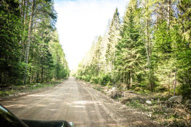 Karelian taygası arasındaki yol. Yolun kenarındaki çam ormanı. Karelia 'ya bir gezi. Ağaçların arasında otoyol. Güzel yerlere gezintiye çıkmak. Karelia. Gün.