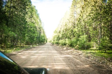 Karelian taygası arasındaki yol. Yolun kenarındaki çam ormanı. Karelia 'ya bir gezi. Ağaçların arasında otoyol. Güzel yerlere gezintiye çıkmak. Karelia. Gün.