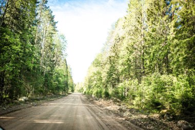 Karelian taygası arasındaki yol. Yolun kenarındaki çam ormanı. Karelia 'ya bir gezi. Ağaçların arasında otoyol. Güzel yerlere gezintiye çıkmak. Karelia. Gün.
