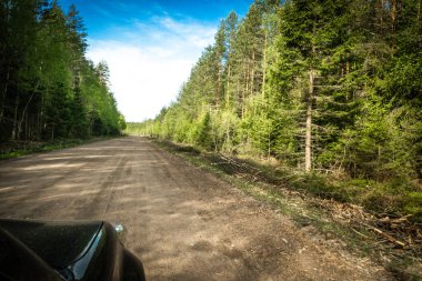 Karelian taygası arasındaki yol. Yolun kenarındaki çam ormanı. Karelia 'ya bir gezi. Ağaçların arasında otoyol. Güzel yerlere gezintiye çıkmak. Karelia. Gün.