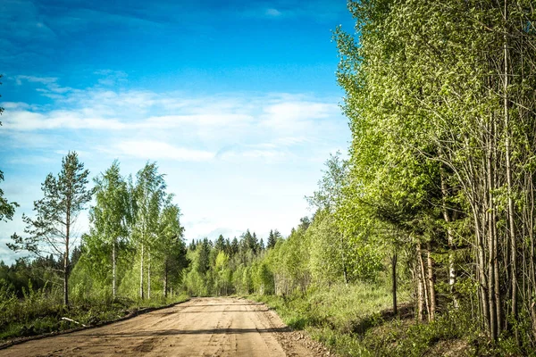 Route Entre Taïga Carélienne Forêt Pins Sur Bord Route Voyage — Photo