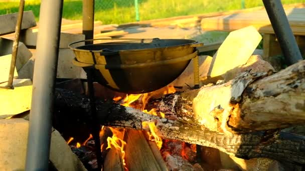 Campfire Matlagning Stor Gjutjärnsgryta Ett Stativ Flamman Från Elden Värmer — Stockvideo