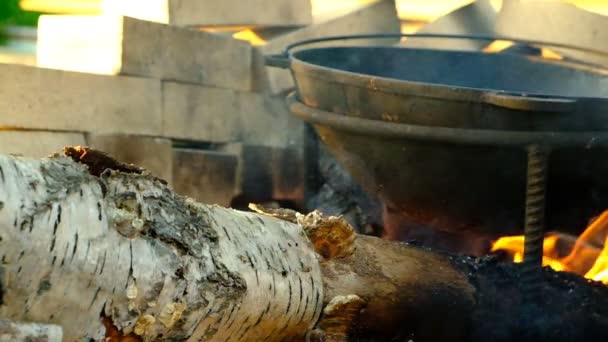 Memasak Hidangan Nasional Uzbek Pilaf Lemparkan Kaldron Besi Stand Api — Stok Video