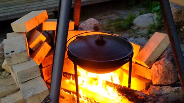 Campfire Matlagning Stor Gjutjärnsgryta Ett Stativ Flamman Från Elden Värmer — Stockvideo