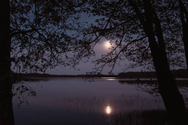 Gölde ay ışığı gecesi. Ağaçların siluetleri, gölden gelen su, ay yolu.