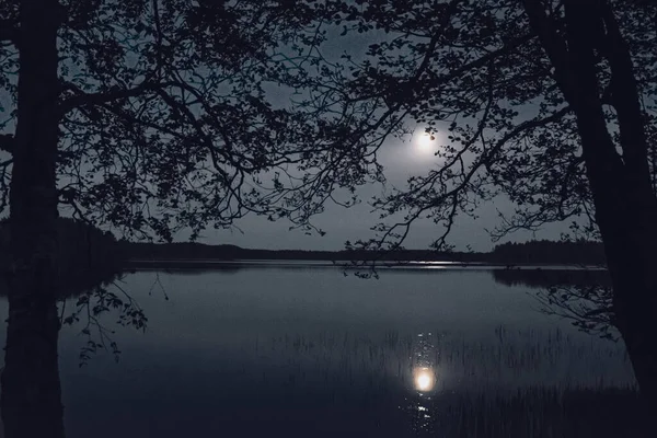 Noc Księżycowa Nad Jeziorem Sylwetki Drzew Woda Jeziora Ścieżka Księżycowa — Zdjęcie stockowe