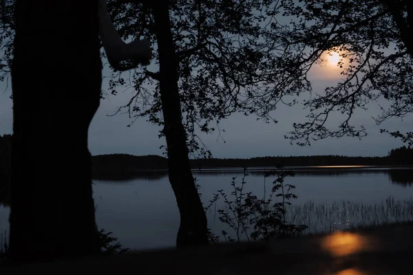 湖の上で月明かりの夜 木々のシルエット 湖からの水 月の道 — ストック写真