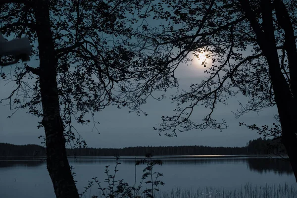 Moonlit Nacht Het Meer Silhouetten Van Bomen Water Uit Een — Stockfoto