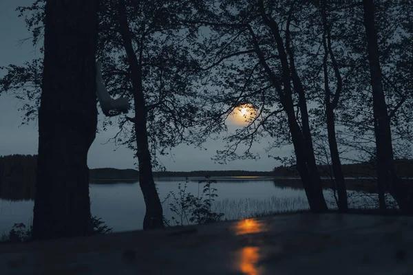 Månbelyst Natt Sjön Silhuetter Träd Vatten Från Sjö Månbana — Stockfoto