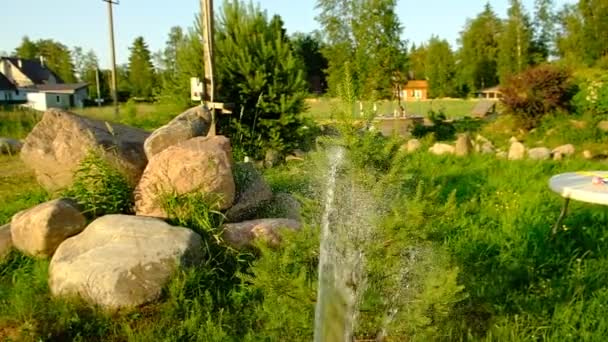 Pflanzen Garten Gießen Wasserstrahl Aus Einem Schlauch Wasserspritzer Und Wassertropfen — Stockvideo