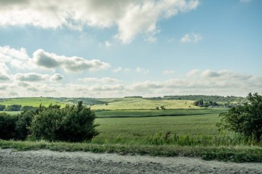 Yol boyunca araba penceresinden panorama. Yol kenarındaki tarımsal ekinlerle dolu tarlaların manzarası. Yeşil bitkiler, sürülmüş topraklar. Koruyucu orman kuşağı. - Rusya. İyi günler. Güneşli.