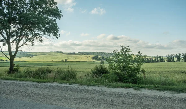 Панорама Окна Машины Вдоль Дороги Вид Придорожных Полей Сельскохозяйственными Культурами — стоковое фото