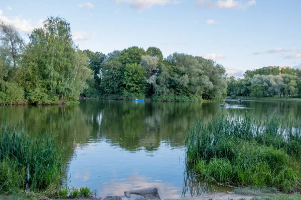 Büyük, yeşil bir çayırın manzarası. Yoğun çimler eşit olarak kesilmiş. İyi günler. Sonbahar. Rusya.