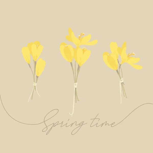 Spring flowers. Yellow and white crocuses. Garden primroses. Bulbous plants. Vector bouquet for greeting cards