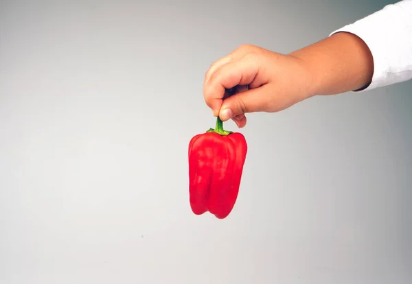 Child Holding Organic Red Pepper Hand — Stock Photo, Image