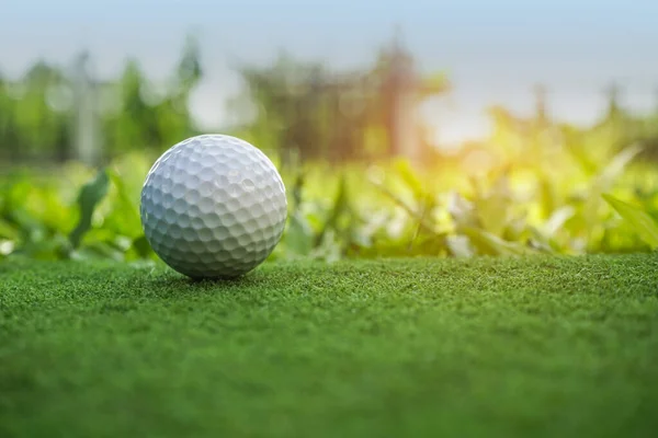 暖かいトーンと日没と緑のゴルフボール 午前中のグリーンフィールドゴルフ場のゴルフボールと柔らかな日差し — ストック写真