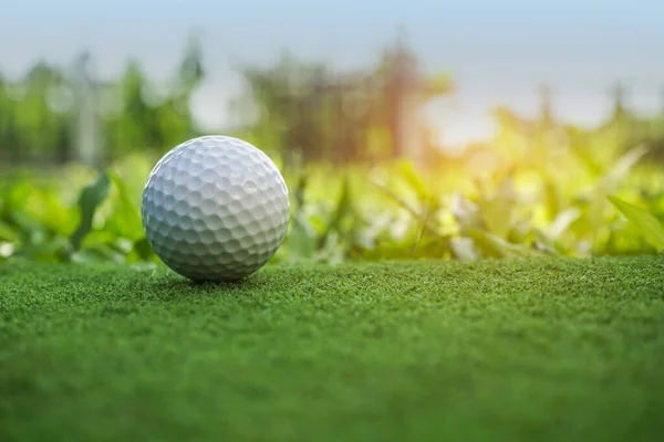 Golfboll Green Med Varm Ton Och Solnedgång Golfboll Green Field — Stockfoto