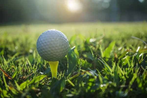 Golf Piłka Tee Pięknym Polu Golfowym Tle Zachodu Słońca — Zdjęcie stockowe