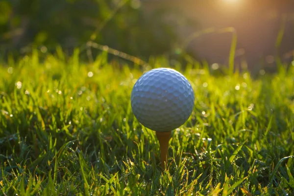 Golf Ball Tee Evening Golf Course Sunshine Background Golf Ball — Stock Photo, Image