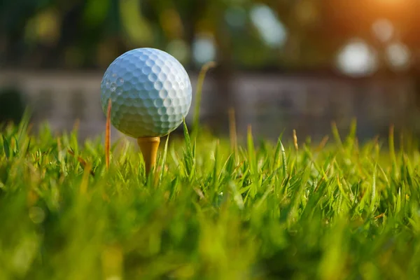 日光を背景にした夜のゴルフコースでティーにゴルフボール 暖かいトーンと日没と緑のゴルフボール — ストック写真