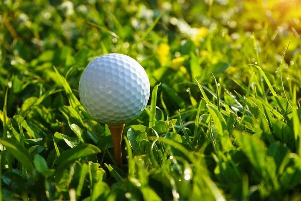 Pallina Golf Tee Nel Campo Golf Serale Con Sfondo Sole — Foto Stock