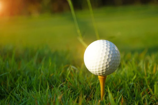 Pelota Golf Camiseta Campo Golf Por Noche Con Sol Fondo —  Fotos de Stock