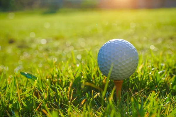 Pallina Golf Tee Nel Campo Golf Serale Con Sfondo Sole — Foto Stock