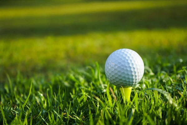 Golfbal Tee Prachtige Golfbaan Bij Zonsondergang Achtergrond — Stockfoto