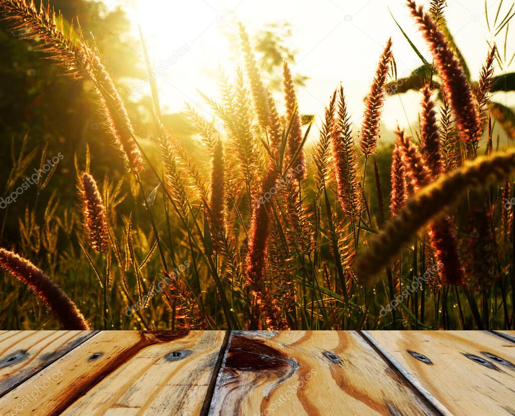 Empty wooden table on sunset nature grass flower background. Mock up for your product display or montage