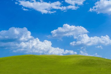 Bulutlu mavi gökyüzünde yeşil çimen tarlası. Mavi gökyüzünün altında bulutlu yeşil çayır.                               