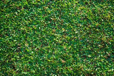 Futbol sahasındaki yeşil çimen arkaplan dokusu. Yeşil çimen dokusu arka plan Parlak çimen bahçesi fikri yeşil arkaplan yapmak için kullanılır.                               