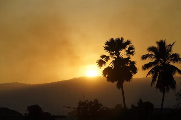 Beautiful sunset with palm tree and golden sky and the smoky soot produced by farmers' weed burning. All of these things cause toxic pollution.