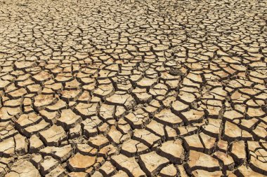 Tayland 'daki kurak arazi dokusu. Gezegendeki küresel su sıkıntısı. Küresel ısınma ve sera etkisi kavramı.