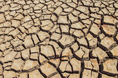 Tayland 'daki kurak arazi dokusu. Gezegendeki küresel su sıkıntısı. Küresel ısınma ve sera etkisi kavramı.