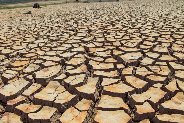 Trama Terra Siccità Thailandia Carenza Globale Acqua Sul Pianeta Concetto — Foto Stock