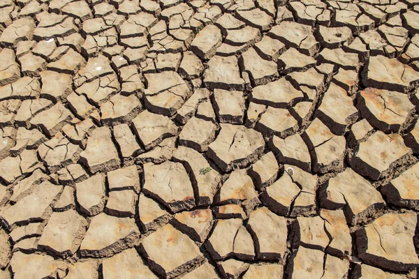 Texture Des Terres Arides Thaïlande Pénurie Mondiale Eau Sur Planète — Photo