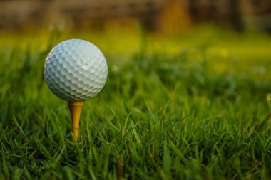 Golf topuna yaklaş. Golf sahasında güzel bir golf sahasında sabah güneşiyle. İlk kısa sürede golfe hazır. Dünyanın dört bir yanındaki insanlar tatillerde sağlık için oynuyorlar..                              