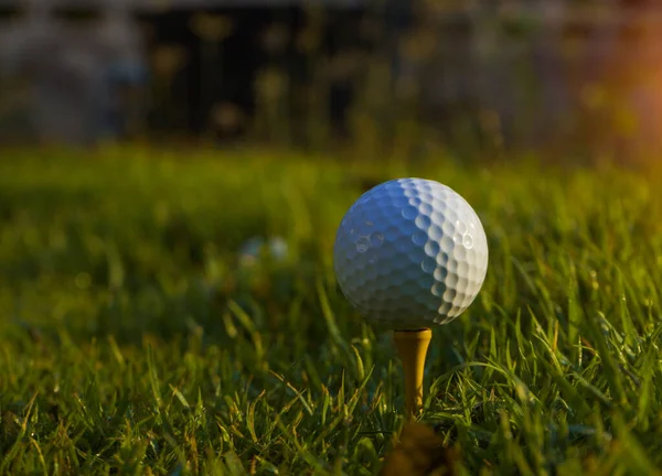 Närbild Golfboll Tee Golfboll Tee Vacker Golfbana Med Morgonsol Redo — Stockfoto