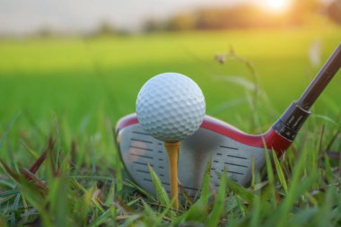 Golf sopası ve top yeşil çimlerin üzerinde golf sahasında vurulmaya hazır, akşam vakti lensler yanıp sönüyor. Golf sahasında golf topu sürücünün önünde..                               
