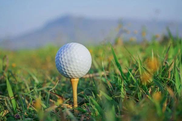 Pelota Golf Tee Listo Para Jugar Campo Golf Por Noche —  Fotos de Stock