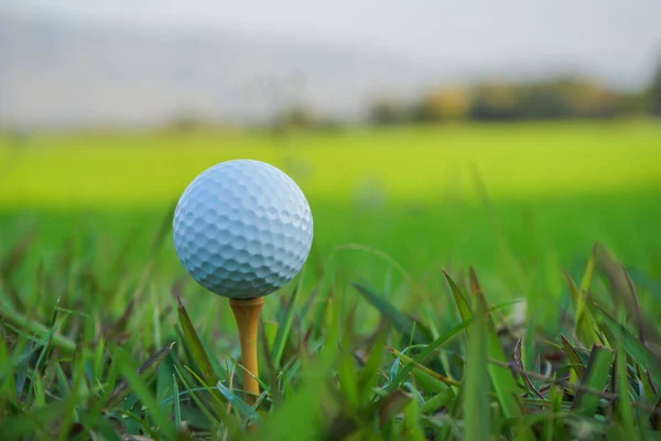 Golfbal Tee Klaar Spelen Avond Golfbaan Met Zonneschijn — Stockfoto