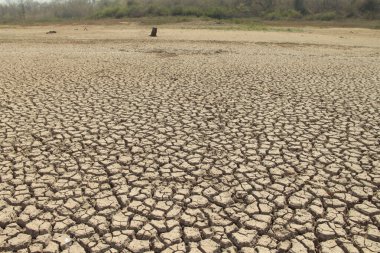 Tayland 'daki kurak arazi dokusu. Gezegendeki küresel su sıkıntısı. Küresel ısınma ve sera etkisi kavramı.