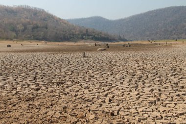 Tayland 'daki kurak arazi dokusu. Gezegendeki küresel su sıkıntısı. Küresel ısınma ve sera etkisi kavramı.