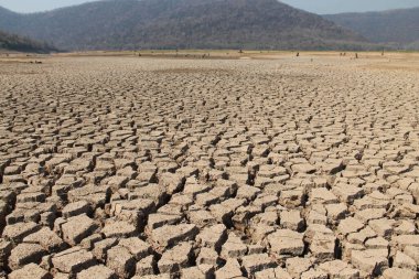 Tayland 'daki kurak arazi dokusu. Gezegendeki küresel su sıkıntısı. Küresel ısınma ve sera etkisi kavramı.