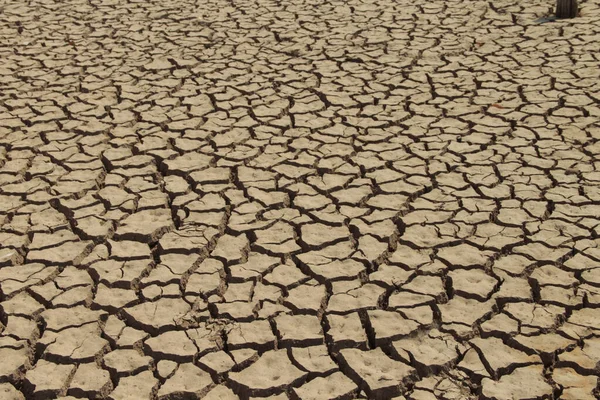 Trama Terra Siccità Thailandia Carenza Globale Acqua Sul Pianeta Concetto — Foto Stock